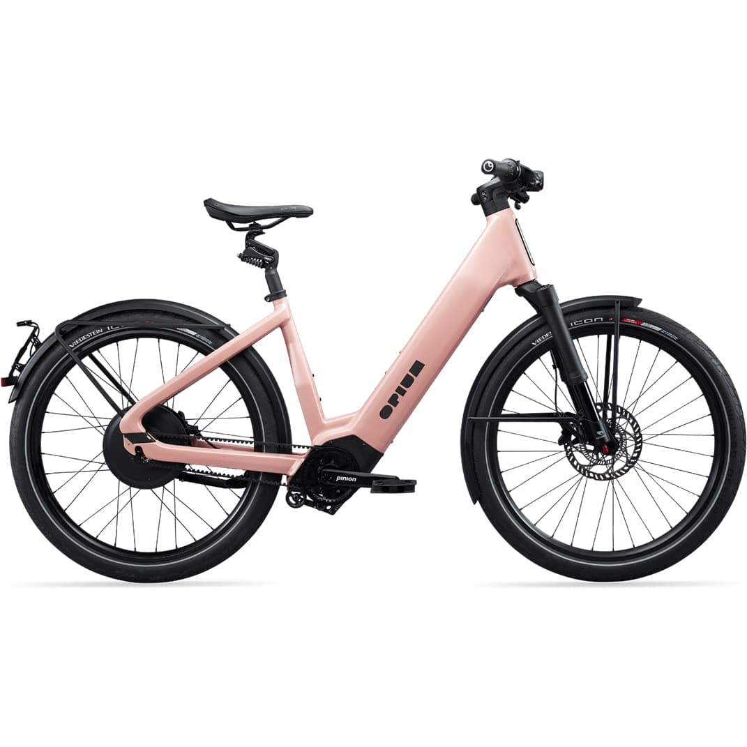 03fd77bb86e8cc5d15230e9f86b16e2e40c770b9_Model_L_19_Rose_3.jpg